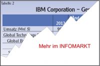 IBM / Bilanz 2013: Abgestrzt