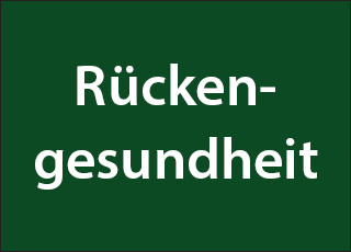 Arbeitsplatz/Rückengesundheit